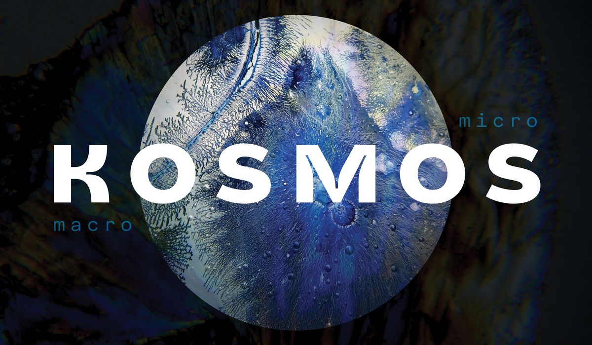 Vernissage, Ausstellung Kosmos